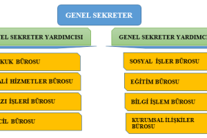 TEŞKİLAT ŞEMASI